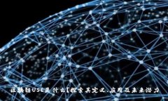 区块链USE是什么？探索其定义、应用及未来潜力