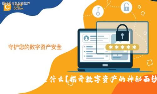 区块链炒的是什么？揭开数字资产的神秘面纱
