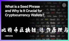 深入解析比特币区块链：运作原理与应用前景