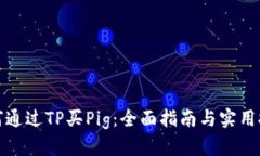 如何通过TP买Pig：全面指南与实用技巧