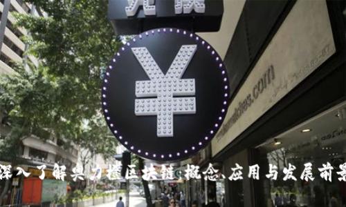 深入了解奥力橙区块链：概念、应用与发展前景