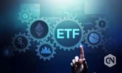 TP钱包为什么金额不动？解决方法与常见问题详解