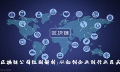区块链公司级别解析：从初创企业到行业巨头