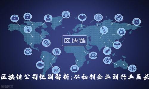区块链公司级别解析：从初创企业到行业巨头