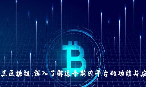 波兰区块链：深入了解这个新兴平台的功能与应用