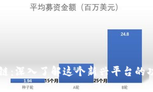 波兰区块链：深入了解这个新兴平台的功能与应用