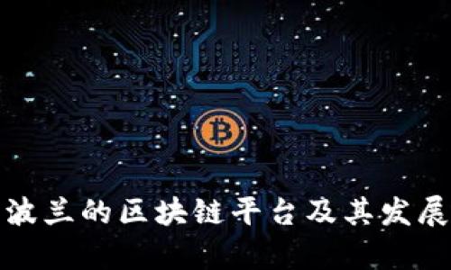 探索波兰的区块链平台及其发展前景