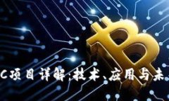 区块链STPC项目详解：技术、应用与未来发展趋势