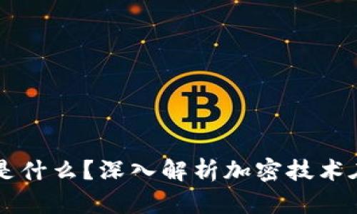 区块链中加密的是什么？深入解析加密技术在区块链中的应用