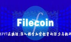 CPYT区块链：深入探索加密投资的潜力与挑战