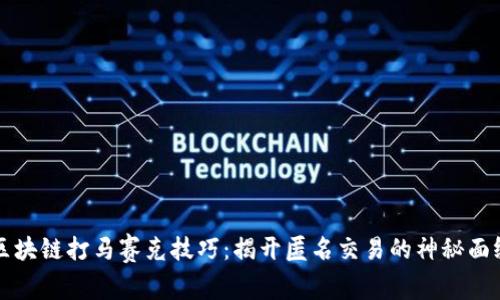 区块链打马赛克技巧：揭开匿名交易的神秘面纱