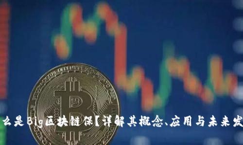 什么是Big区块链保？详解其概念、应用与未来发展