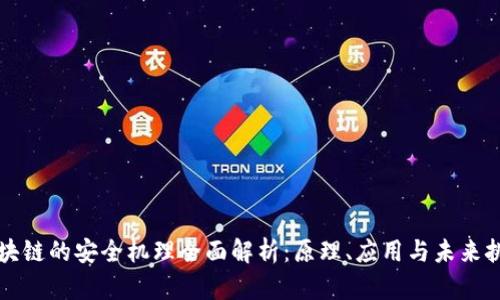 区块链的安全机理全面解析：原理、应用与未来挑战