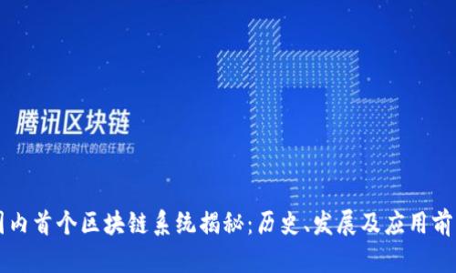 国内首个区块链系统揭秘：历史、发展及应用前景