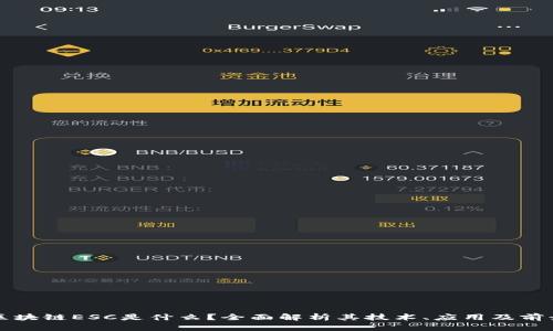 区块链ESC是什么？全面解析其技术、应用及前景