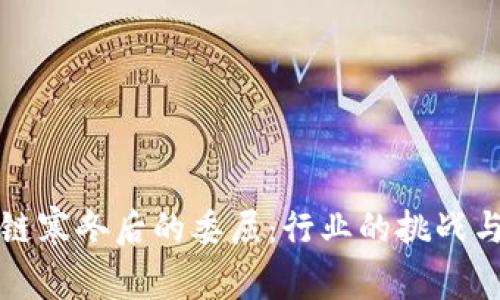 区块链寒冬后的委屈：行业的挑战与机遇