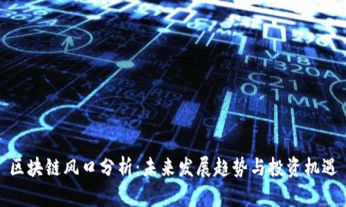 区块链风口分析：未来发展趋势与投资机遇