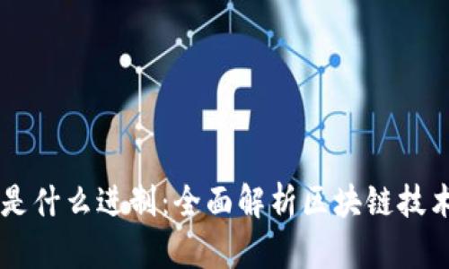 biamti区块链是什么进制：全面解析区块链技术的基础与应用