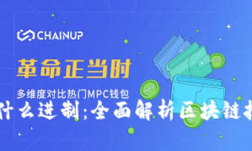 biamti区块链是什么进制：全面解析区块链技术的基础与应用