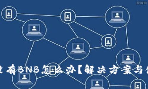 TP钱包没有BNB怎么办？解决方案与使用技巧