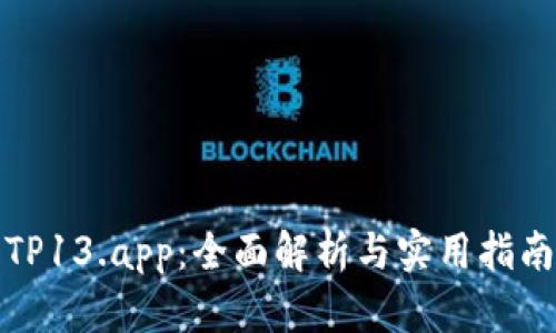 TP13.app：全面解析与实用指南