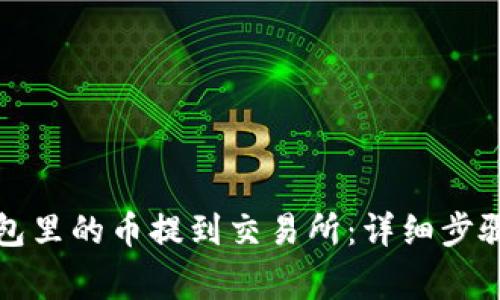 如何将TP钱包里的币提到交易所：详细步骤与注意事项