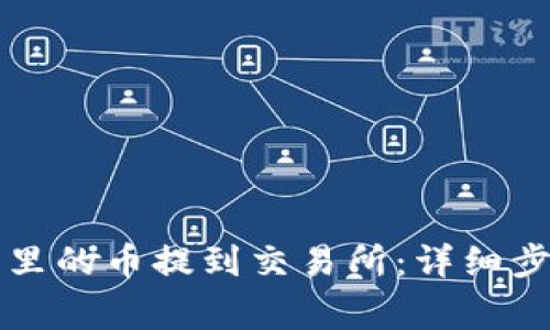 如何将TP钱包里的币提到交易所：详细步骤与注意事项