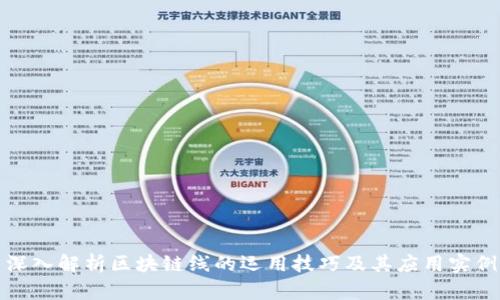 深入解析区块链线的运用技巧及其应用实例
