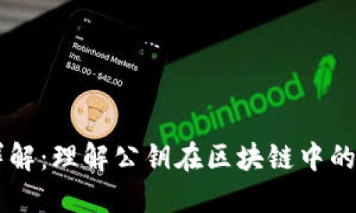 区块链公钥详解：理解公钥在区块链中的重要性与作用
