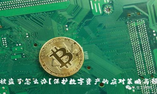 TP钱包被盗了怎么办？保护数字资产的应对策略与预防措施