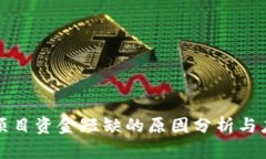 区块链项目资金短缺的原因分析与应对策略