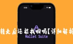 TP钱包币被转走后还能找回吗？详细解析与解决方