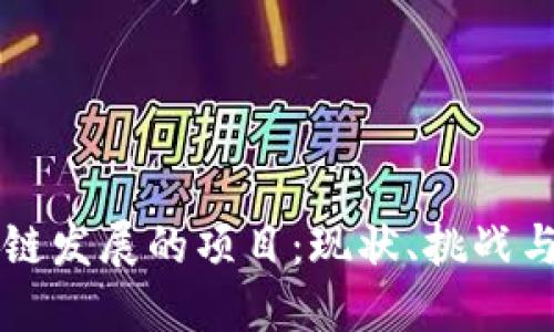 区块链发展的项目：现状、挑战与未来