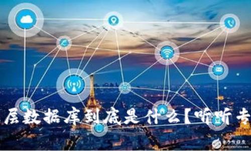 区块链底层数据库到底是什么？听听专家怎么说