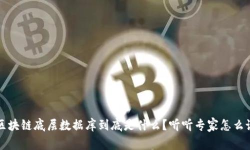 区块链底层数据库到底是什么？听听专家怎么说