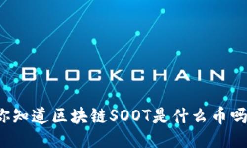 你知道区块链SOOT是什么币吗？