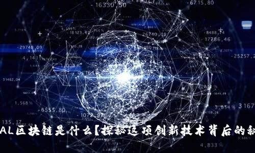 SEAL区块链是什么？探秘这项创新技术背后的秘密