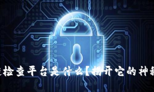 区块链检查平台是什么？揭开它的神秘面纱！