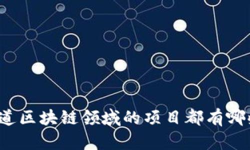 你知道区块链领域的项目都有哪些吗？