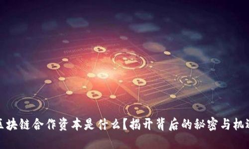 区块链合作资本是什么？揭开背后的秘密与机遇