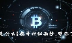 区块链主网上线到底是什么？揭开神秘面纱，带