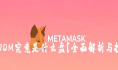 区块链UDM究竟是什么盘？全面解析与投资价值