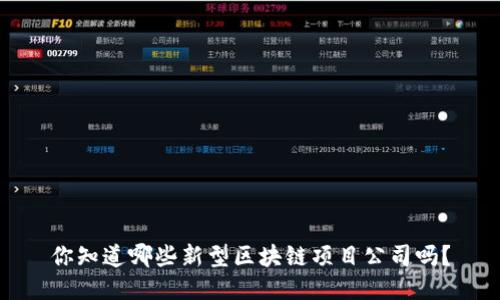 你知道哪些新型区块链项目公司吗？
