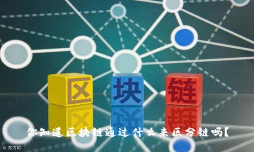 你知道区块链通过什么来区分链吗？