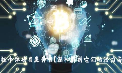 区块链个体项目是什么？深入解析它们的潜力与挑战