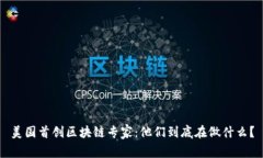 美国首创区块链专家：他们到底在做什么？
