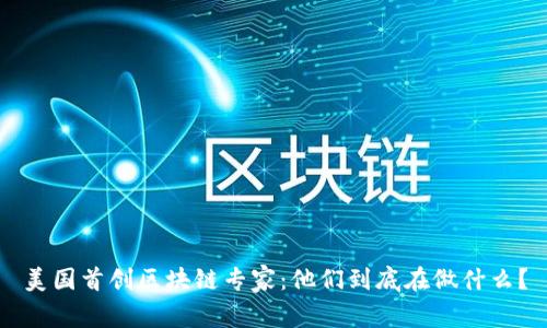 美国首创区块链专家：他们到底在做什么？