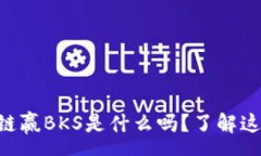 qa    你知道区块链赢BKS是什么吗？了解这项技术