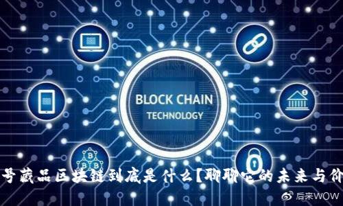 头号藏品区块链到底是什么？聊聊它的未来与价值