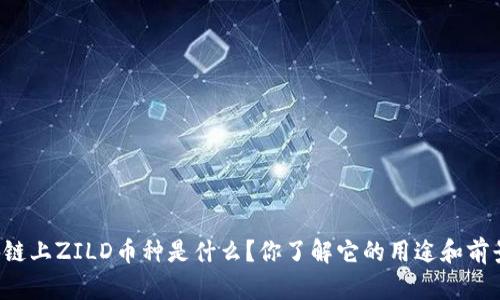 区块链上ZILD币种是什么？你了解它的用途和前景吗？